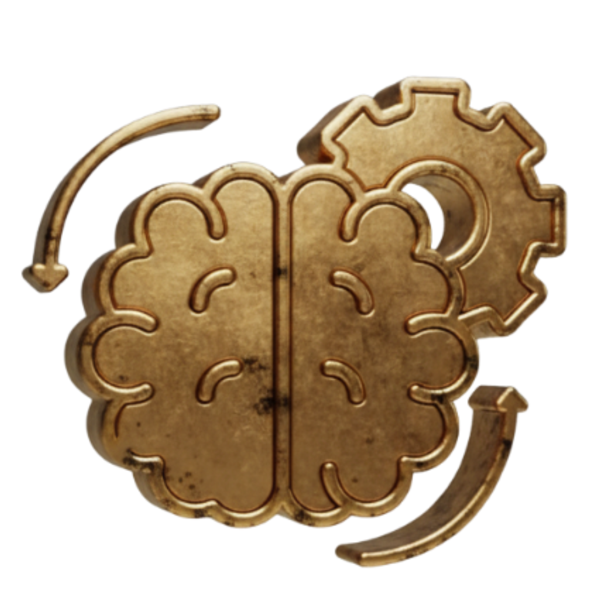 Terapia Cognitivo-Comportamental (TCC)