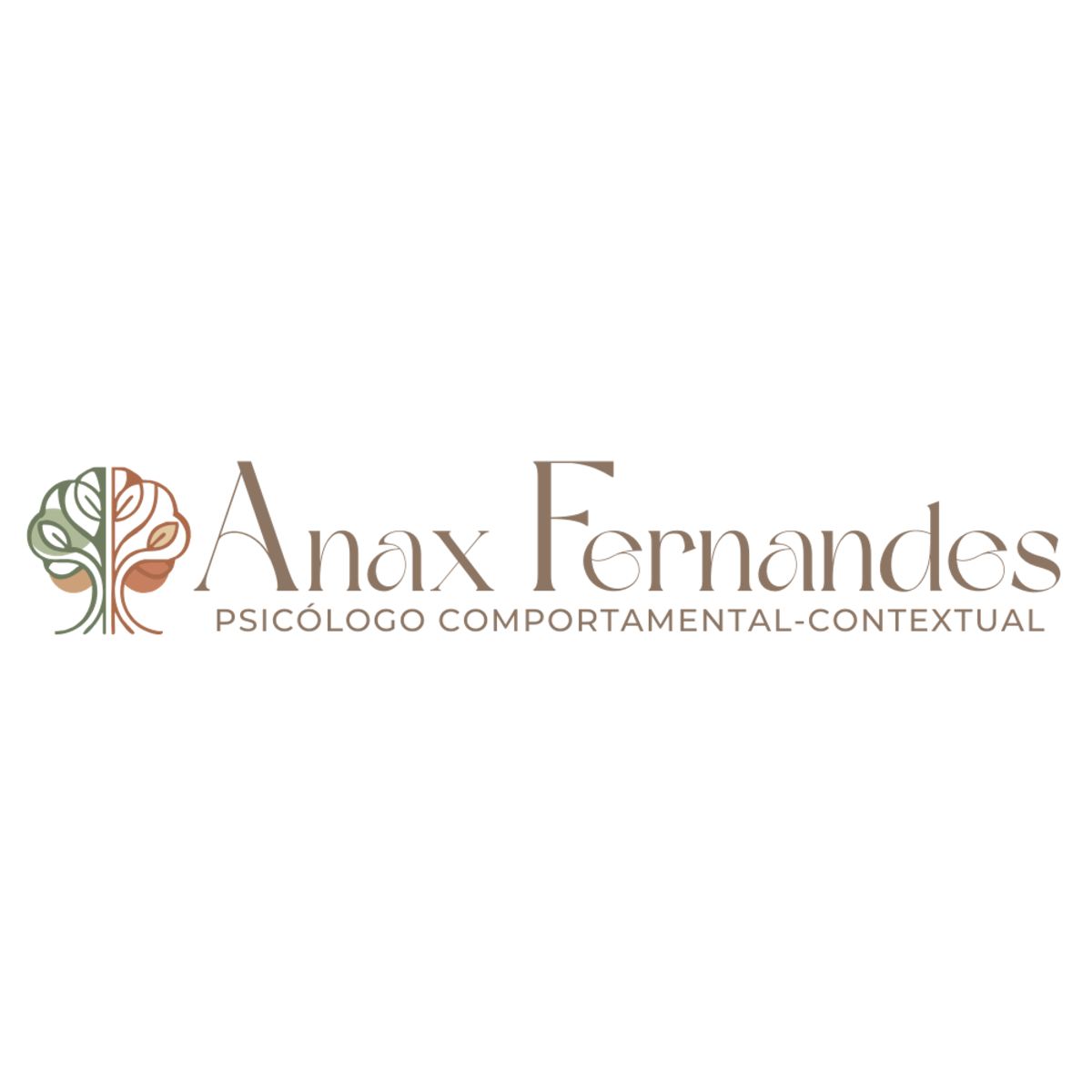 Anax Fernandes