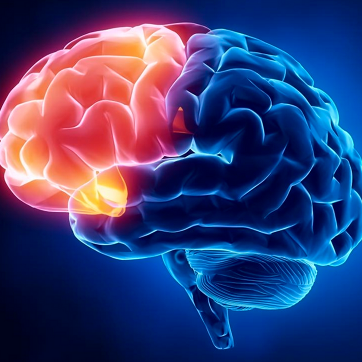 Pós Graduanda em Neuropsicologia e Prática Baseada em Evidências