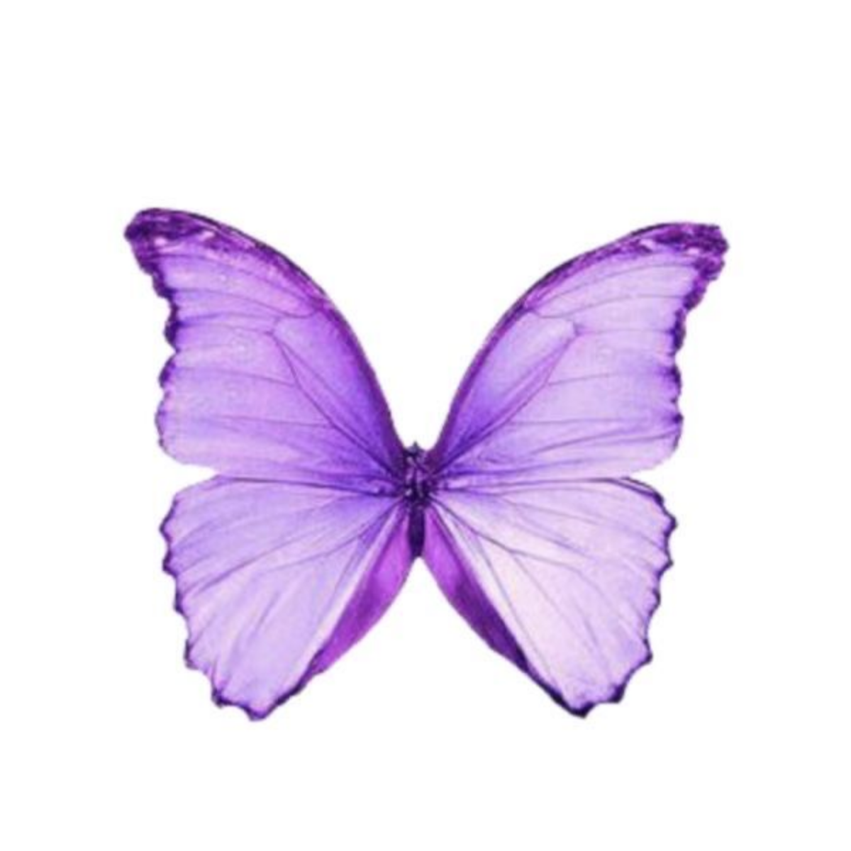 Psicanálise Winnicottiana